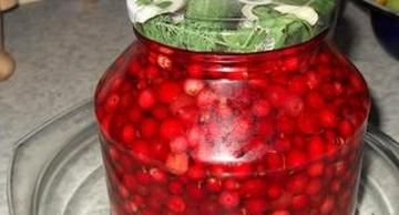 закатуємо брусницю