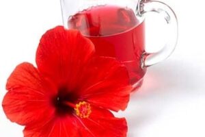 Чай "Каркаде"