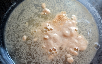 розчиняємо дріжджі в теплій воді