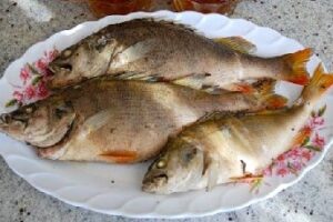 Окунь річковий в розсолі