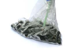 пакет з замороженої чорної смородини