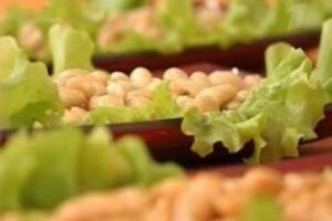 Гарнір з білої квасолі