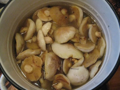 маслюки в каструлі