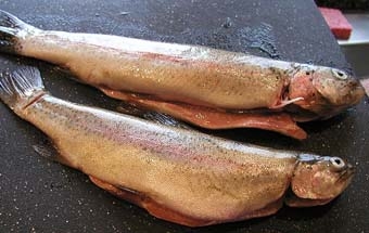 рибу очищаємо від нутрощів