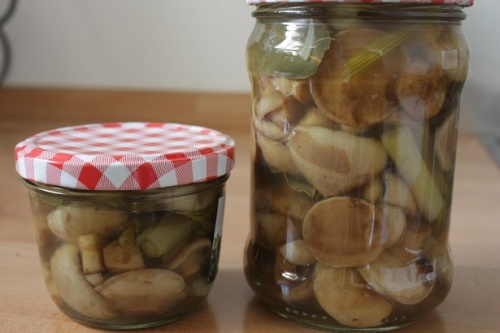 мариновані маслюки у банку