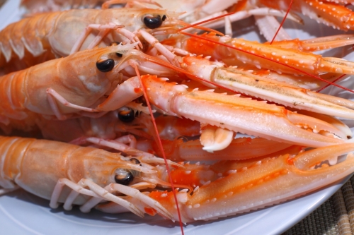 Ось вони готові