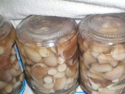 банки з грибами 