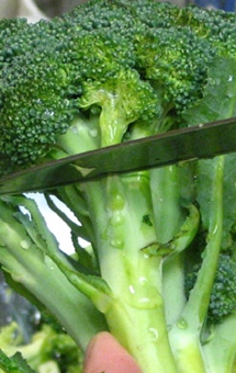 поділяємо броколі на суцвіття