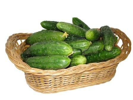 свіжі огірки для засолювання