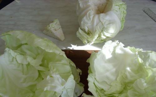 капуста без кочережки