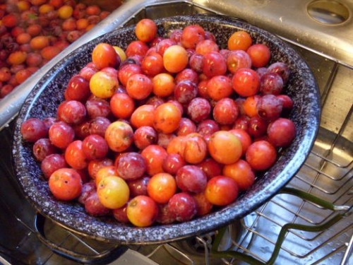 сливи в мисці