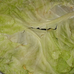 капустяне листя