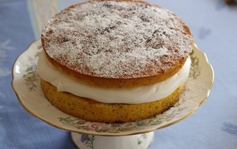 змащуємо лимонним мусом нижній корж торта і накриваємо верхнім коржем