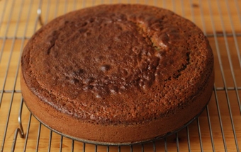 готовий корж 