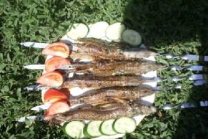 Шашлик зі стерляді