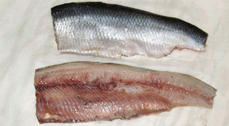 Філе оселедця