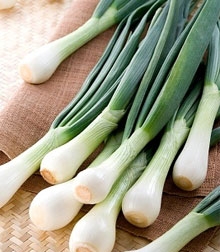 зелений лук