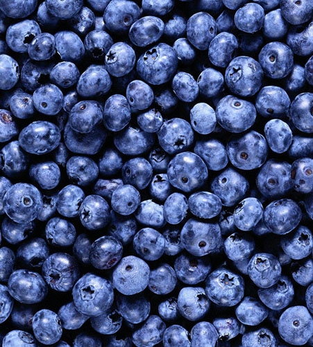 Підготуємо чорницю