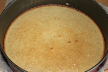 Подрумянившийся бісквіт