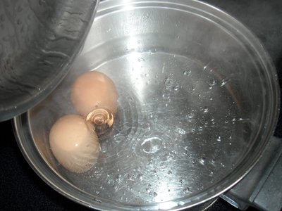 відварюємо яйця круто