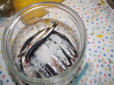 шар хамси і солі