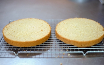 корж розрізаємо на дві половинки вздовж