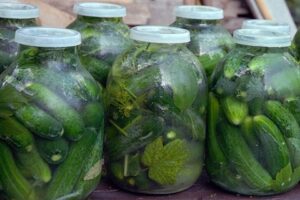 Огірки солоні холодним способом
