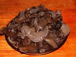 Гриби солоно-відварні