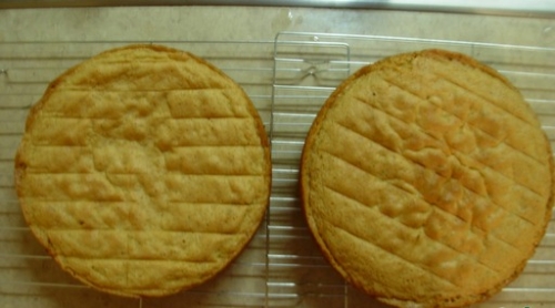 готовий бісквіт