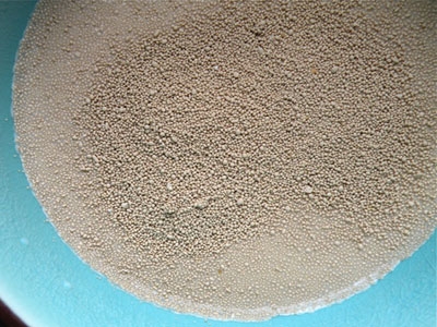 дріжджі в мисці