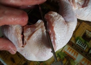 відрізаємо ноги