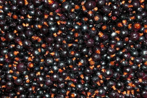 чиста чорна смородина