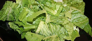 Листочки салату ромен рвемо руками