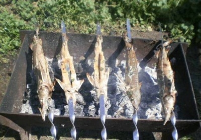 шашлик