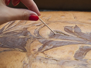 перевіряємо готовність страви зубочисткою