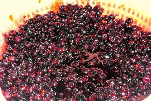 смородина в друшляку