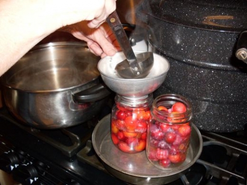 сливи в банку