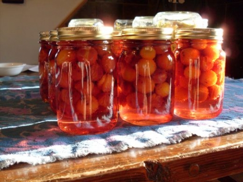 банки зі сливами