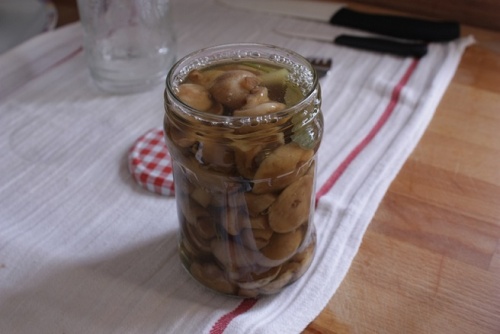 маслюки у банку
