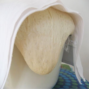 дрожживое тісто