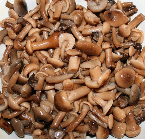 нарізаємо опеньки