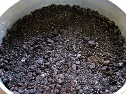 викладаємо основу з печива в форму для запікання