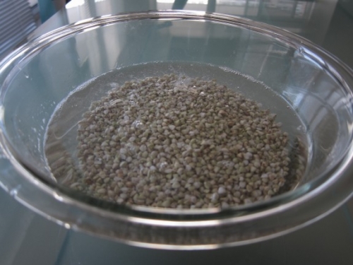 гречана крупа у воді