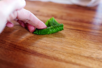 листя базиліка