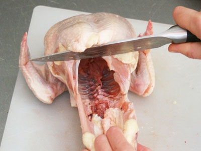 грудка і спинка