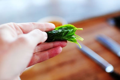 базилік свіжий