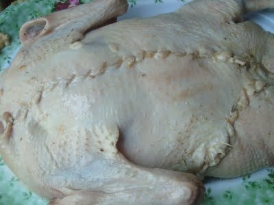 зашита качка