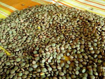 сочевиця на столі