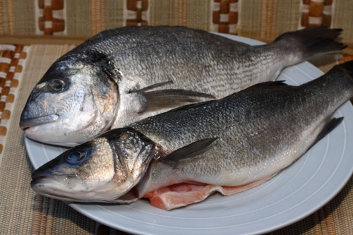 Риба потрібна різних порід