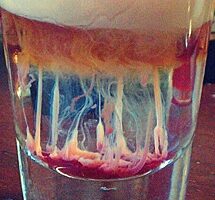 Коктейль «медуза»